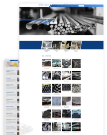 Steel Group Steel Group