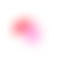blob-red-pink-big blob-red-pink-big